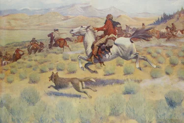 Hunting on the Prairie