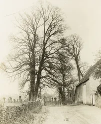 Kelmscott Manor: Road and Entrance
