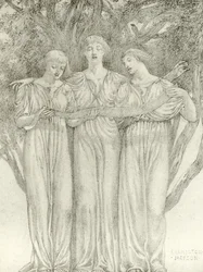 The Fairies