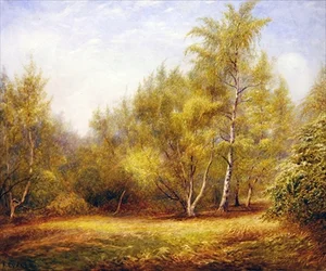Epping Forest near Buckhurst Hill
