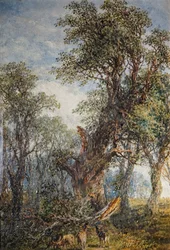 The Broken Bough, 1881