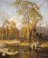 Autumn Reflections