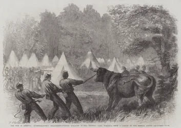 The War in America, Quartermaster