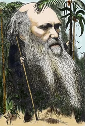 Charles Darwin (1809-1882) Caricature by F. Waddy