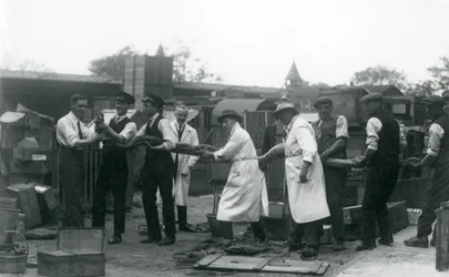 A 20 ft. long Python being carried by eleven members of the Zoological Society staff, London Zoo, June 1925