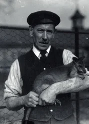 A keeper holds a wallaby, October 1920