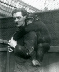 A Man Carries Chimpanzee Sally on His Back, London Zoo, 1924
