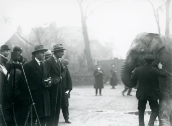 An Indian Elephant, Possibly Sundermalah, Taking Part in an Outside Broadcast from London Zoo, 1925