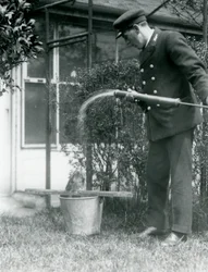 Keeper Thomas Raggett giving a Tawny Frogmouth a shower, London Zoo
