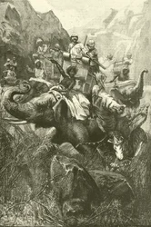 Tiger hunting in India (engraving)