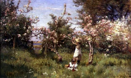 Gathering Blossom