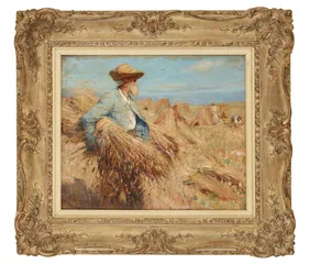 Harvest Time