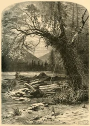 The French Broad