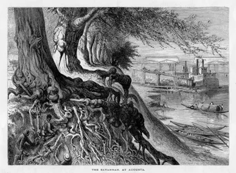 The Savannah, at Augusta, 19th century