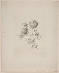 Flower Motif