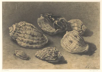 Six Shells
