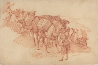 Camel Caravan