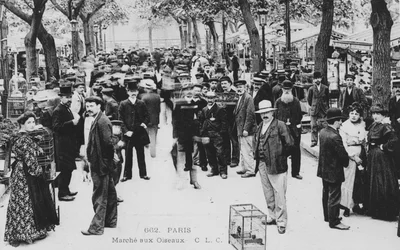 Bird Market, Paris