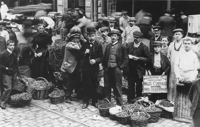Gardeners of Les Halles Market, Paris, 1907