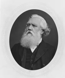 Portrait of Henry Layard