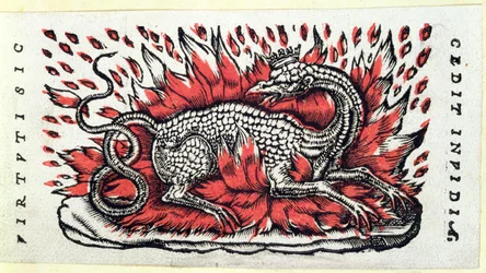 A Salamander, 1st half 16th century