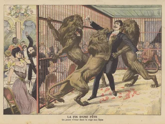 A foolish young man attacked by lions after entering their cage