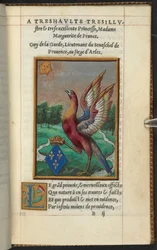 A phoenix, from 