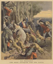 A Wedding in Hungary Attacked by Wolves