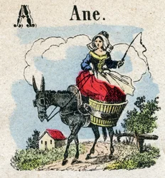 Abecedary. Letter A like Donkey. Small Encyclopedic Alphabet, Popular Series. Epinal Imaging, late 19th century