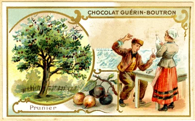 Advertising Chromolithography of Guérin Boutron Chocolates