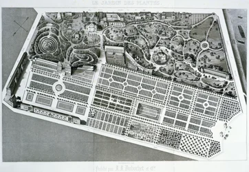 Aerial View of the Plan of the Jardin des Plantes in Paris, 1842