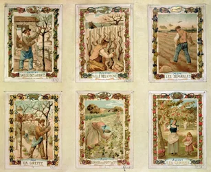 Agricultural calendar depicting the various seasons of farming
