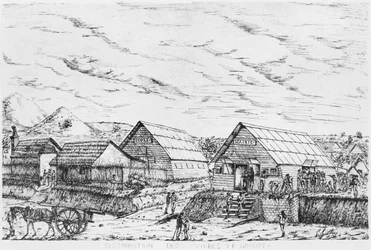 Distribution of Supplies, 1878-79