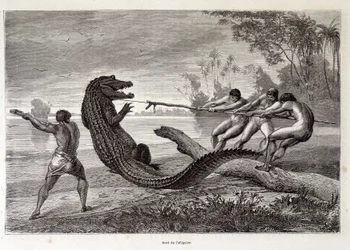 Alligator Hunt, Brazil, 