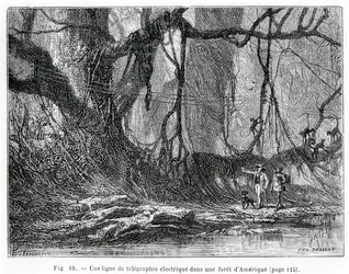 An electric telegraph line in an American forest, c.1870