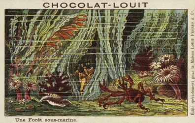 An Underwater Forest in the Year 2000