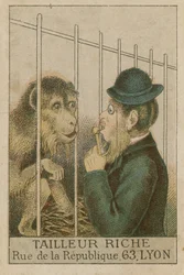 Ape and Man