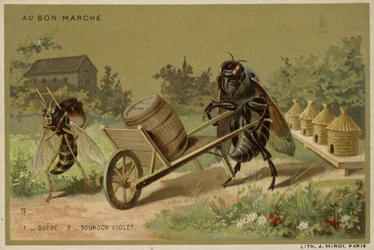 Au Bon Marche cards featuring anthropomorphic insects