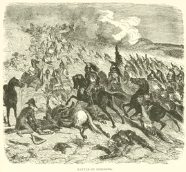 Battle of Borodino