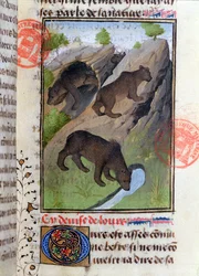 Bears, from the Livre de la Chasse by Gaston Phebus