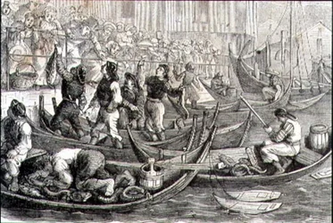 Bergen Fish Market in the 1860s