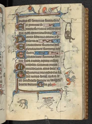 Book of Hours, Use of St Omer, Add MS 36684, f.31r, c.1318-25