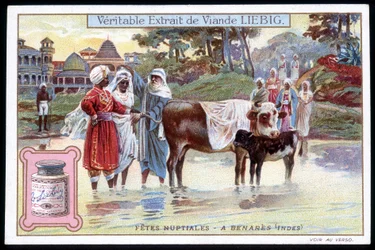 Bridal feasts in Benares, India - chromo. Liebig, 1895