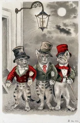 Cats in situation - postcard early 20th century