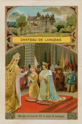 Chateau de Langeais