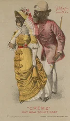 Chimps in Fashionable Clothing