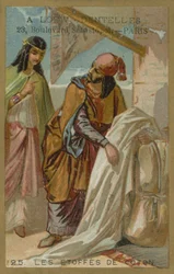 Cotton Fabrics