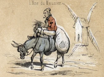Description of the different products and uses of donkey: the animal helps the miller. (detail)