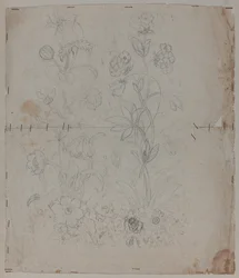 Design Drawing