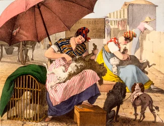 Dog Groomers, 1820